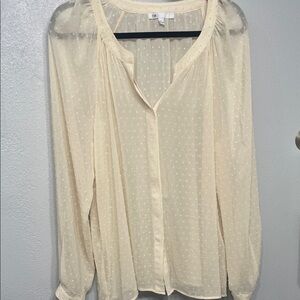 DR2 Cream Blouse with Sheer Accents